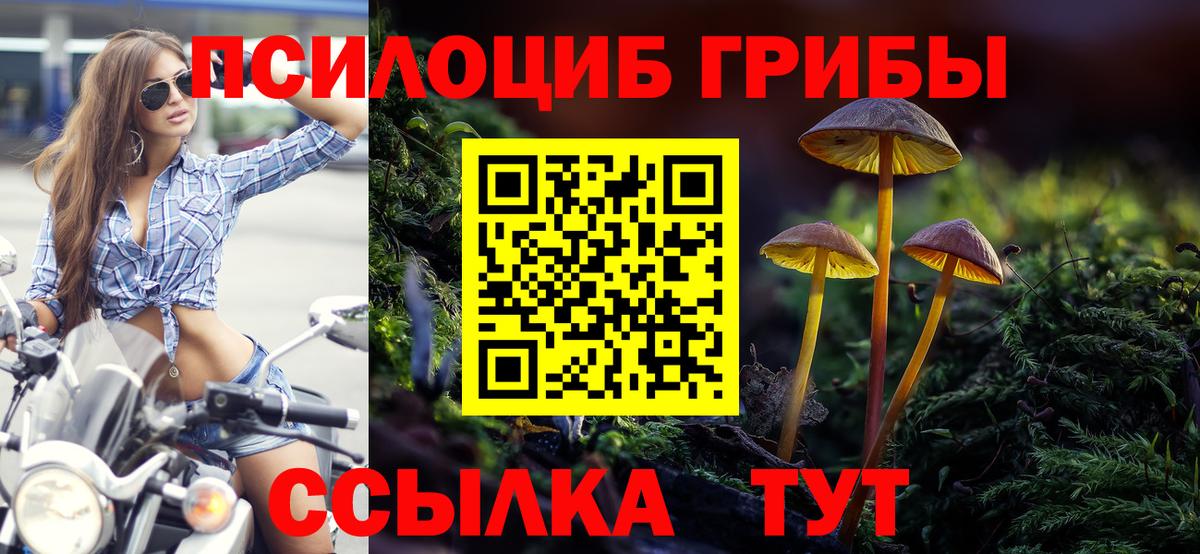 Псилоцибиновые грибы MAGIC MUSHROOMS Ишимбай